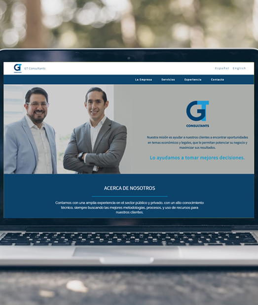 GT Consultants - website design and development by delimp.com