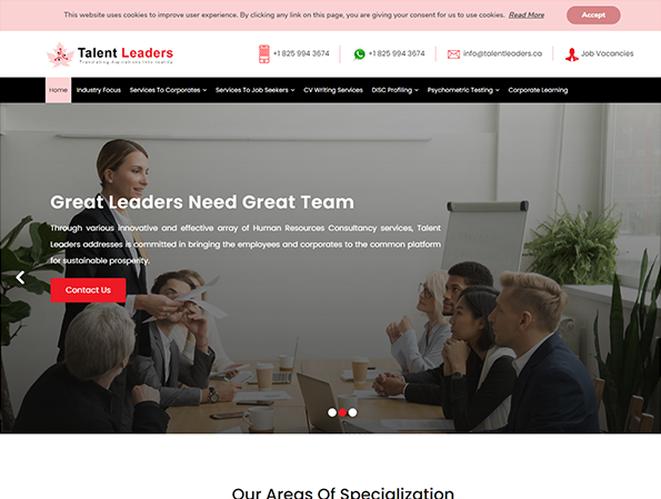 Web development project tab responsive (Talent Leaders),delimp.com