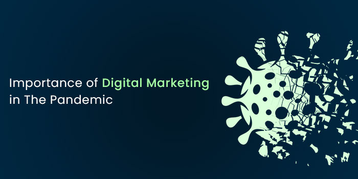 Importance of Digital Marketing in The Pandemic,delimp.com