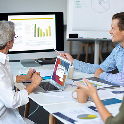 Large Language Model (LLM)