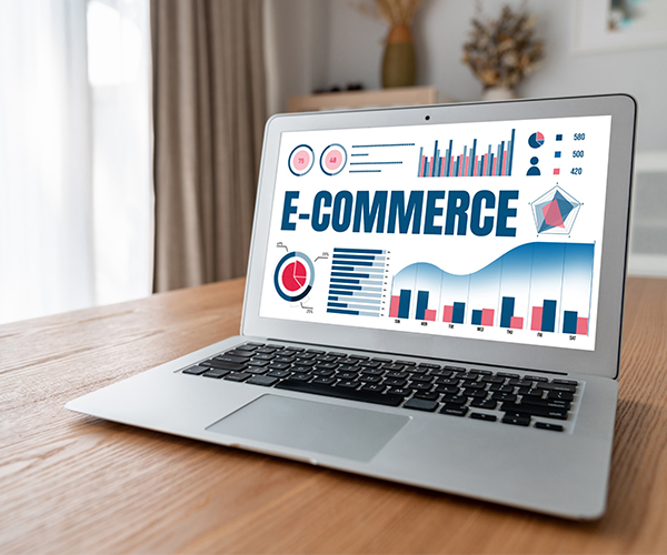 E-Commerce Web Development